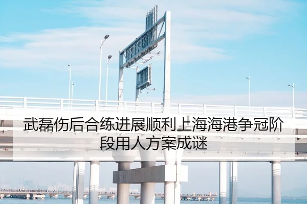 武磊伤后合练进展顺利上海海港争冠阶段用人方案成谜